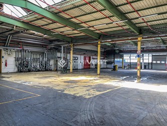 Logivest - Bild von Lagerhalle – 67579