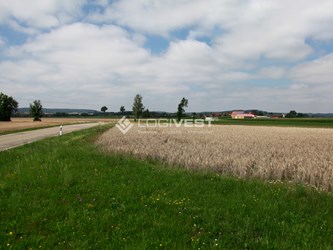 Logivest - Musterbild von Erweiterungsfläche – 67730