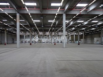 Logivest - Bild von Gewerbehalle – 79214