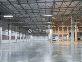 Logivest - Beispiel von Miethalle – 88951