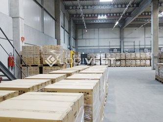 Logivest - Musterbild von Miethalle – 89448