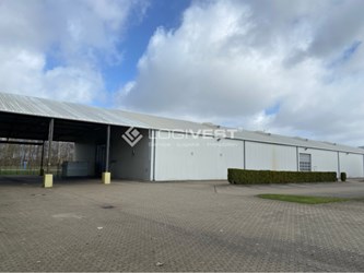 Logivest - Musterbild von Produktionshalle – 93467