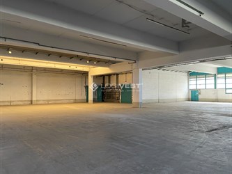 Logivest - Musterbild von Miethalle – 93667