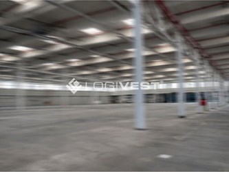 Logivest - Bild von Industriehalle – 93759