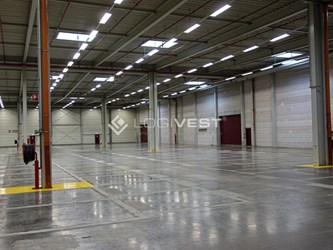 Logivest - Bild von Miethalle – 93863