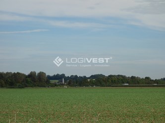 Logivest - Musterbild von Baugrund – 93907