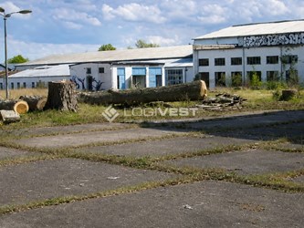 Logivest - Bild von Produktionshalle – 94629