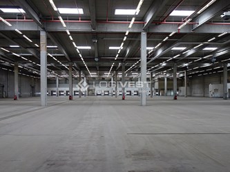 Logivest - Beispiel von Miethalle – 95173